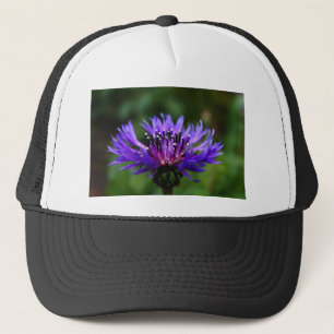 Blaue Kornblumen-Blüten Frieden Liebe Schicksal Truckerkappe