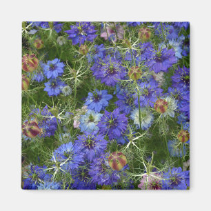 Blaue Kornblumen Magnet