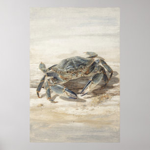 Blaue Krabbe an einem sandigen Strand Poster