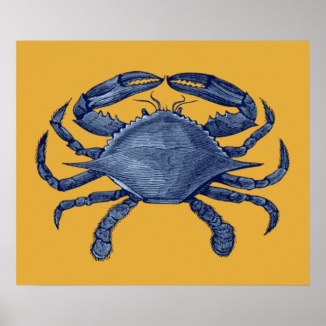 Blaue Krabbe Poster (Vorne)