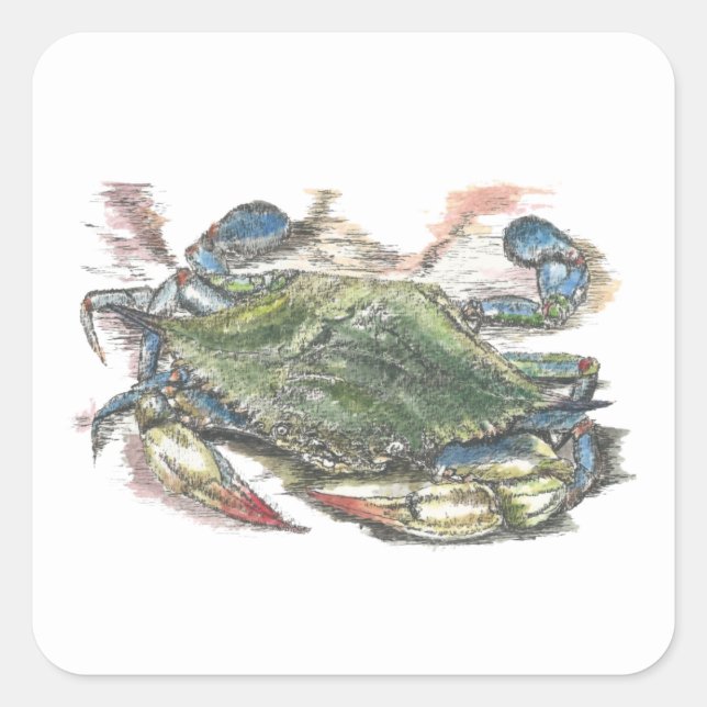 Blaue Krabbe Quadratischer Aufkleber (Vorderseite)
