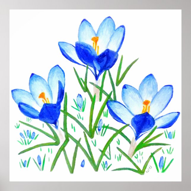 Blaue Krokus-Blumen Druck Poster (Vorne)