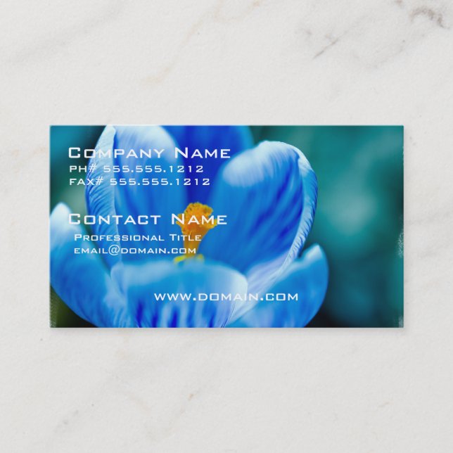 Blaue Krokus-Visitenkarten Visitenkarte (Vorderseite)