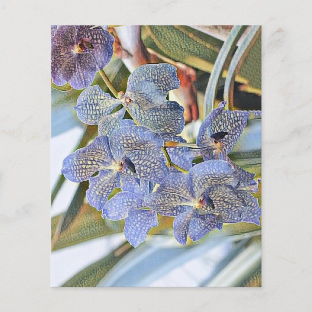 Blaue Lavander-Blume (Vorderseite)