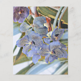 Blaue Lavander-Blume