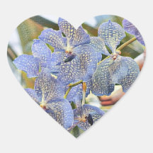 Blaue Lavander-Blume