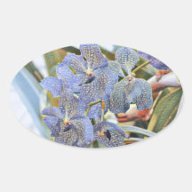 Blaue Lavander-Blume