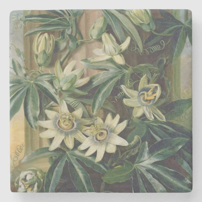 Blaue Leidenschafts-Blume für den "Tempel der Steinuntersetzer (Vorderseite)