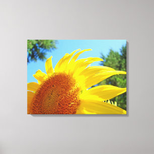Blaue Leinwanddrucke Gelbe Sonnenblumen Garten Leinwanddruck