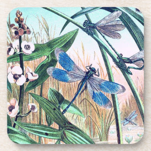 Blaue Libelle am Teich Vintage-Illustration Getränkeuntersetzer