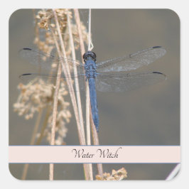 Blaue Libelle, anpassbar Quadratischer Aufkleber