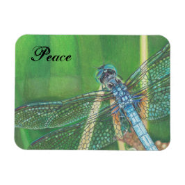 Blaue Libelle-Farbstift-Kunst im Magnet