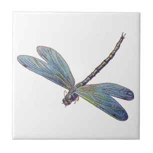 Blaue Libelle im Vintage-Stil Fliese