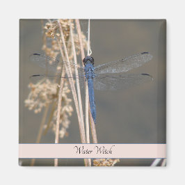 Blaue Libelle Magnet