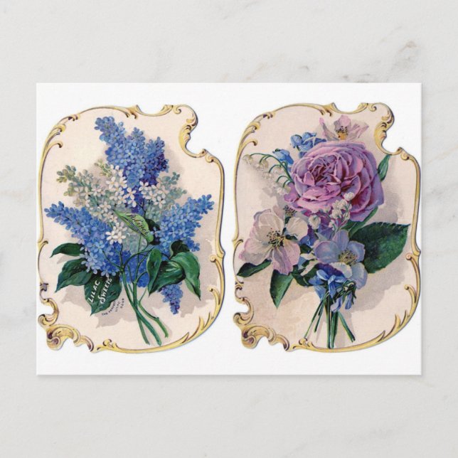 Blaue Lila Blume Vintage Postkarte (Vorderseite)