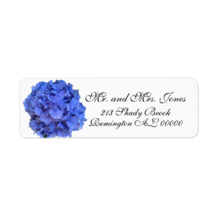 Blaue lila Hydrangeas-Blüten