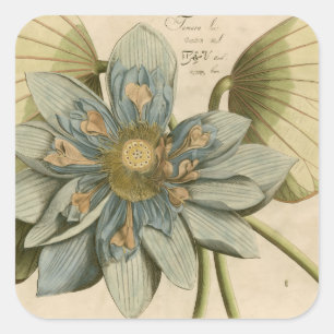 Blaue Lotusblume auf beigem Hintergrund mit Schrif Quadratischer Aufkleber