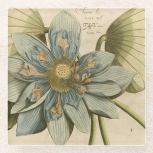 Blaue Lotusblüte auf braunem Hintergrund mit Schri Glasuntersetzer