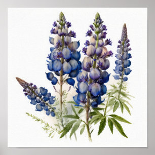 Blaue Lupinen-Blumen-Kunstposter Poster
