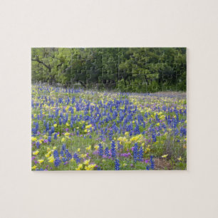 Blaue Lupinen, Primel und Phlox Puzzle