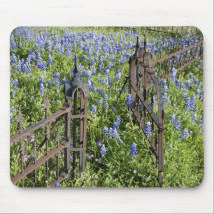 Blaue Lupinen und Phlox umgeben das Friedhofstor Mousepad