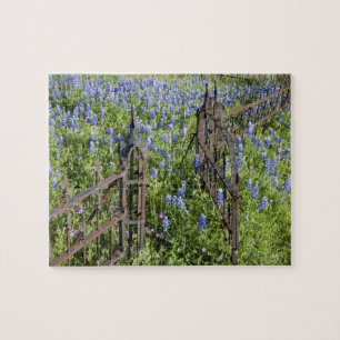 Blaue Lupinen und Phlox umgeben das Friedhofstor Puzzle
