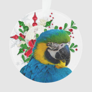 Blaue Macaw-Papageien-Weihnachtsverzierung Ornament