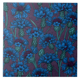 Blaue Maisblumen, wilde Blume Fliese