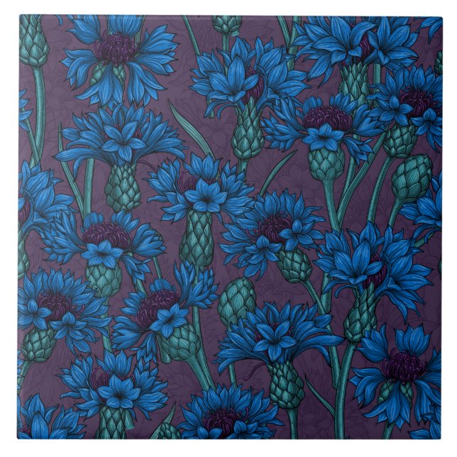 Blaue Maisblumen, wilde Blume Fliese (Vorderseite)