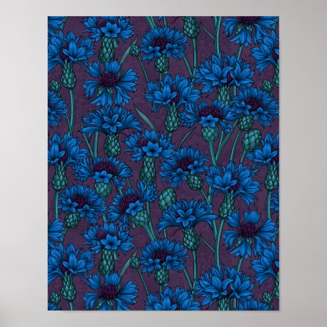 Blaue Maisblumen, wilde Blume Poster (Vorne)