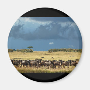 Blaue Masai-Maras Kenia des Wildebeest-(GNU) Magnet