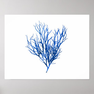 Blaue Meerespflanze #10 42x32 cm Poster