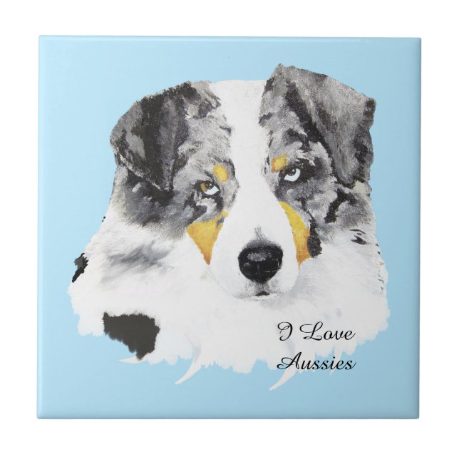 Blaue Merle australische Fliese (Vorderseite)