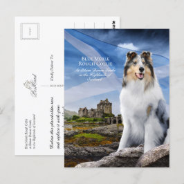 Blaue Merle Collie, Eilean Donan und Schottische F Postkarte