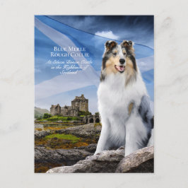 Blaue Merle Collie, Eilean Donan und Schottische F Postkarte