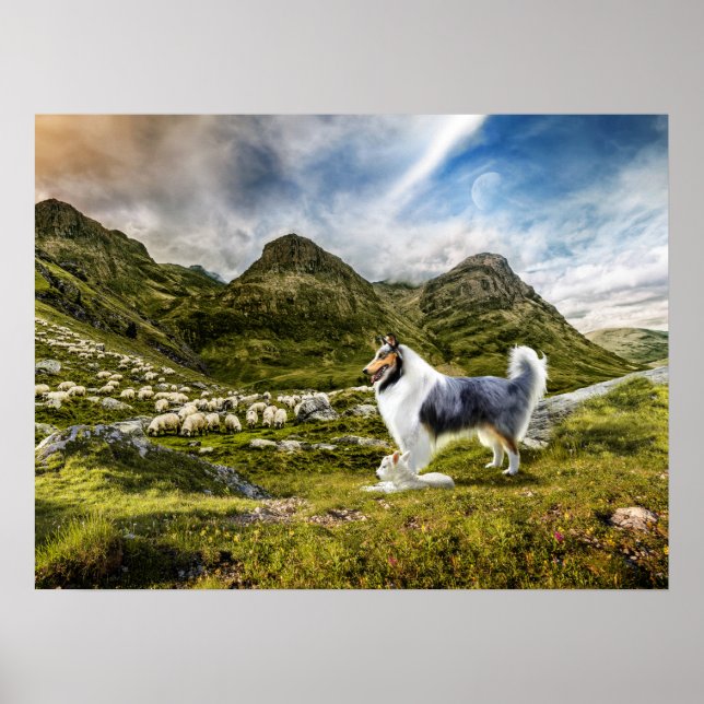 Blaue Merle-Collie-Schafe im Hochland - Poster (Vorne)