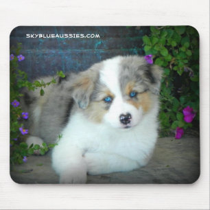 Blaue Merle Welpen-Mausunterlage Mousepad
