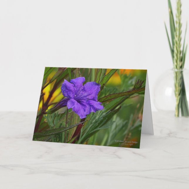 Blaue mexikanische Petunie-Blume (Ruellia Karte (Vorderseite)