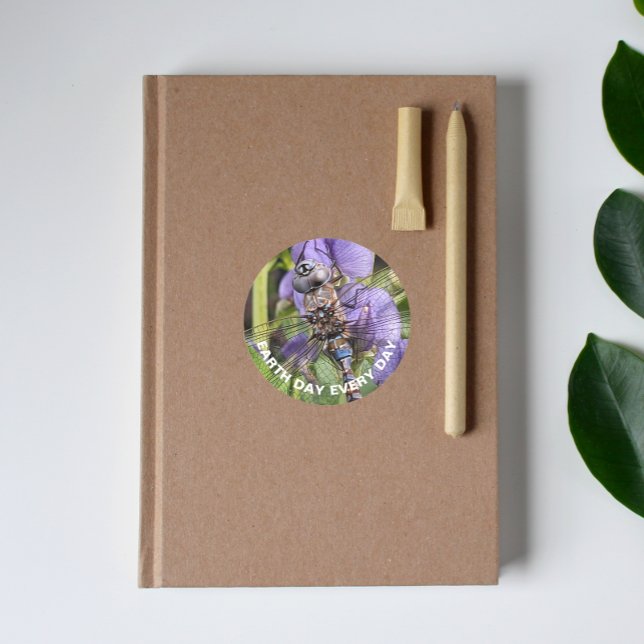 Blaue Mit Augen Dunkeldrachenfliege-Erde Runder Aufkleber (In Situ Book)