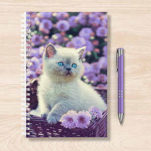 Blaue Mit Augen Katze im Korb mit Lilac-Blume Planer