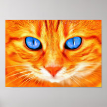 Blaue mit Augen Katze