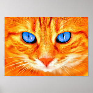 Blaue mit Augen Katze Poster