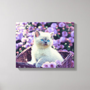 Blaue Mit Augen Katzenkatze im Korb mit violetten  Leinwanddruck