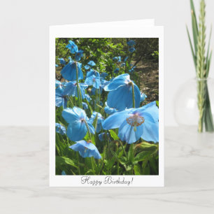 Blaue Mohnblumen-Geburtstags-Himalajakarte Karte