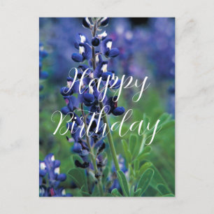 Blaue Mohnblumen Texas State Flower Blau Geburtsta Postkarte