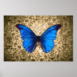Blaue Monarchschmetterlingsmaube Vintage Kunst Poster