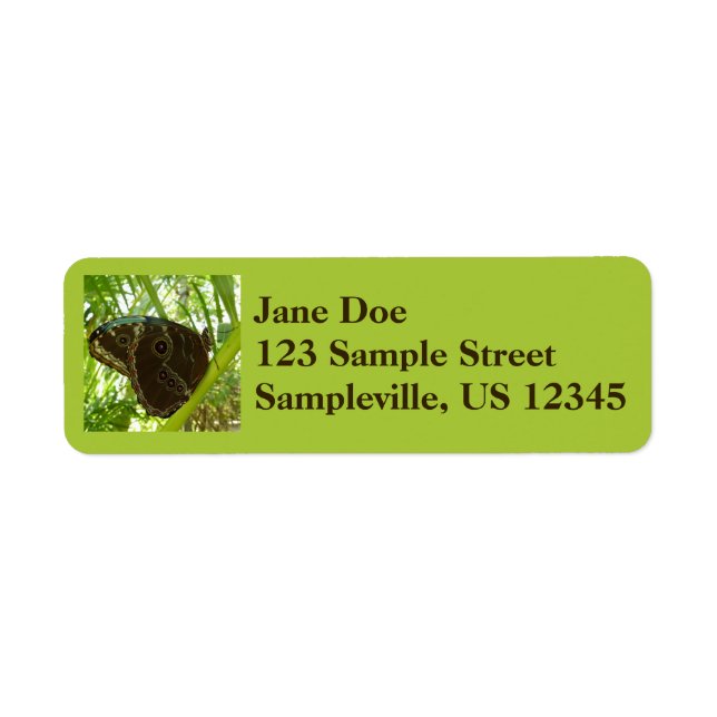 Blaue Morpho Butterfly Naturfotografie (Vorne)