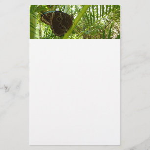 Blaue Morpho Butterfly Naturfotografie Briefpapier