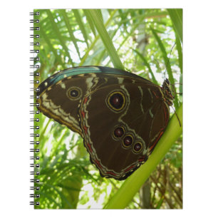 Blaue Morpho Butterfly Naturfotografie Notizblock