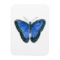 Blaue Morpho-Schmetterling-Aquarellmalerei